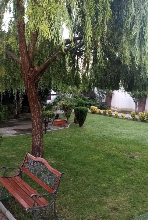 Photo of Outdoor in Tbilisi