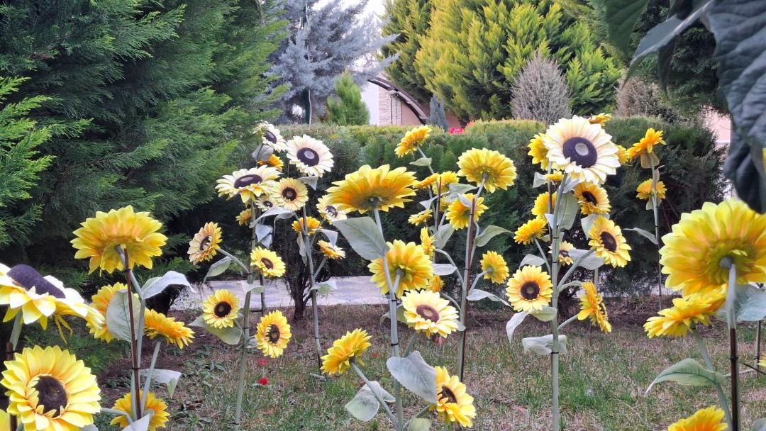 Photo of Others in Kvemo Kartli