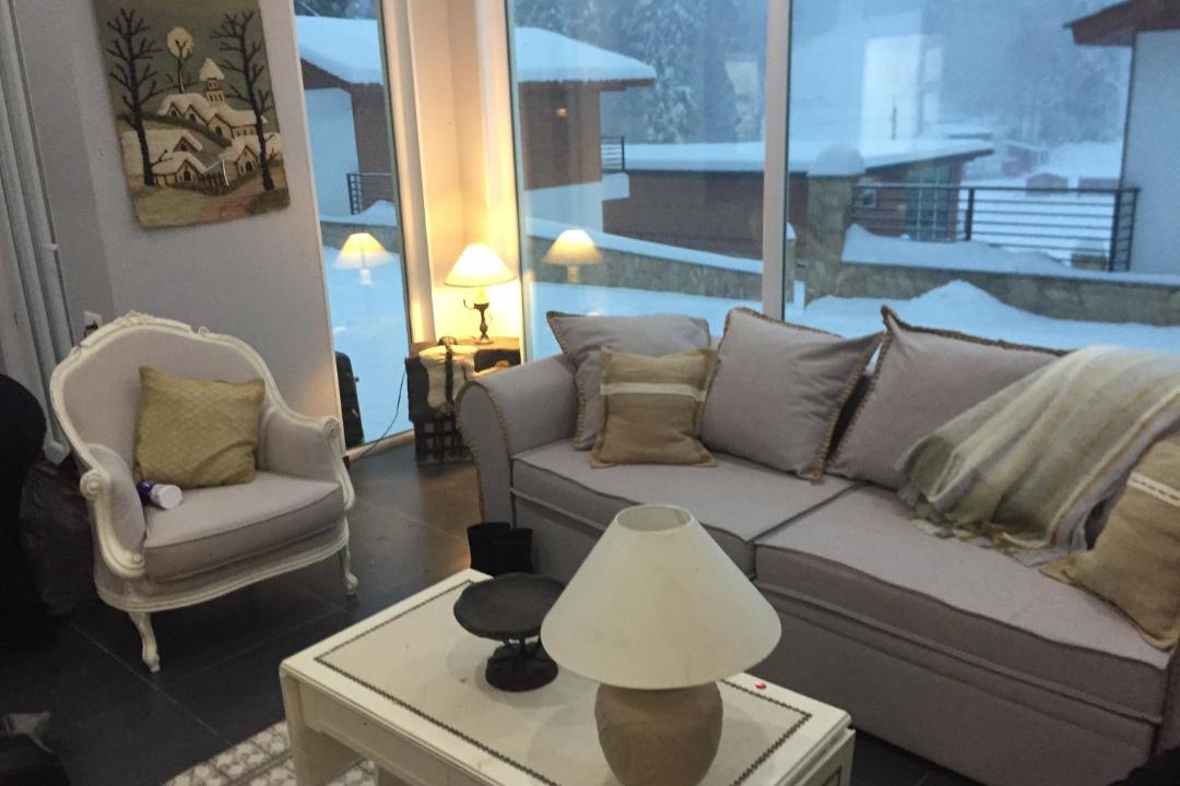 Photo of Livingroom in Bakuriani