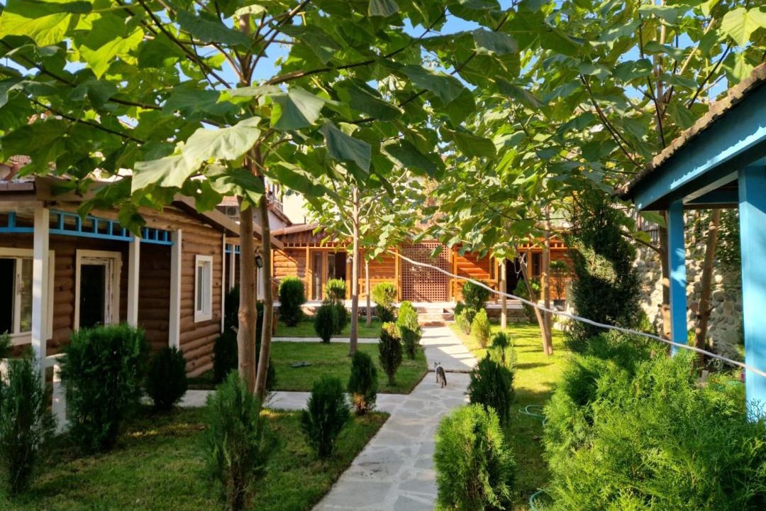 Photo of Others in Mtskheta
