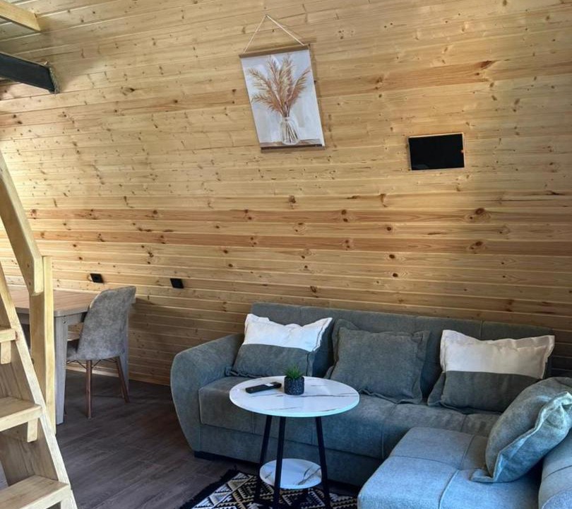 Photo of Livingroom in Bagvdanari