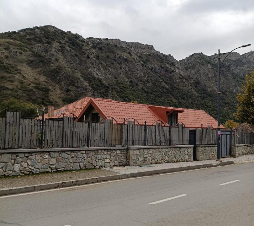 Photo of Others in Mtskheta