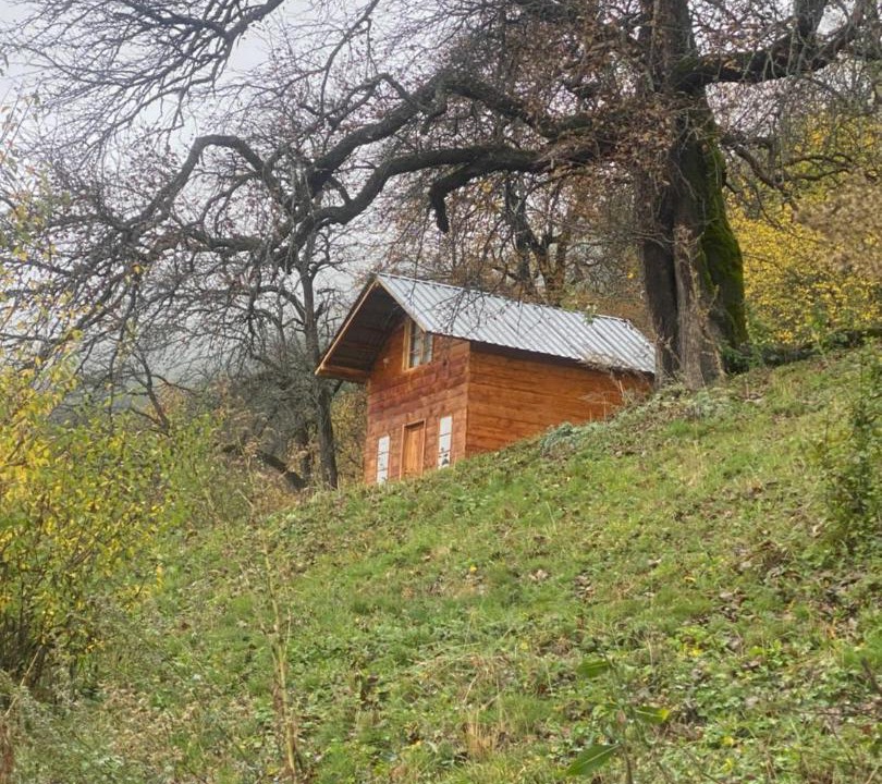 Photo of Others in Lalkhori