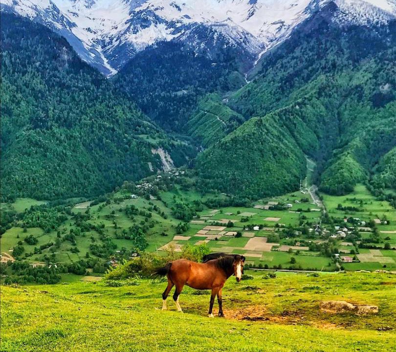 Photo of Others in Mestia