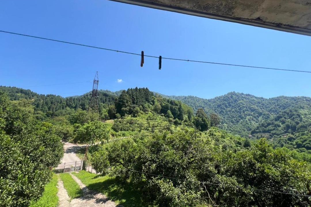 Photo of Others in Imereti