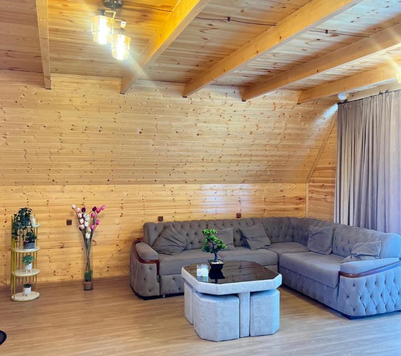 Photo of Livingroom in Martivili