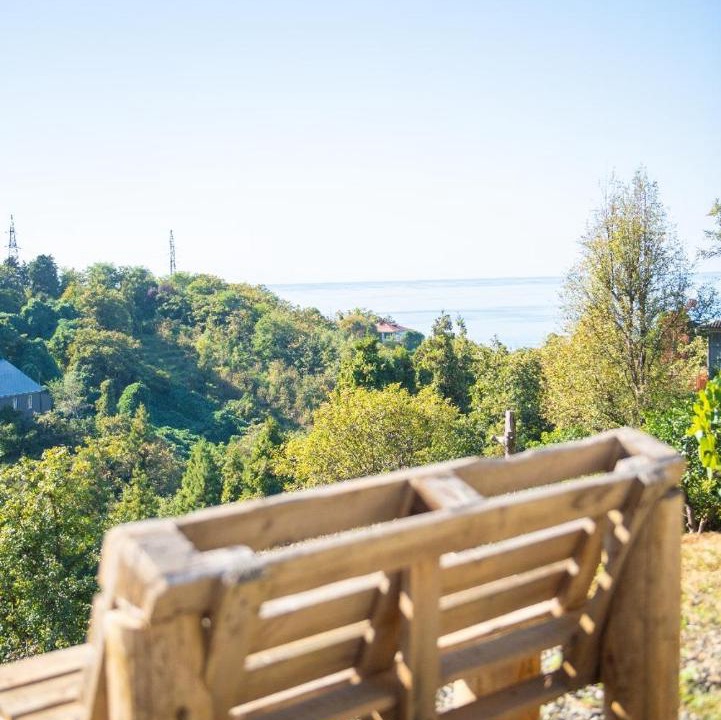 Photo of Others in Kobuleti