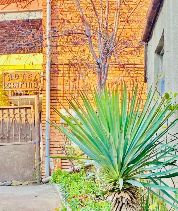 Photo of Others in Sighnaghi