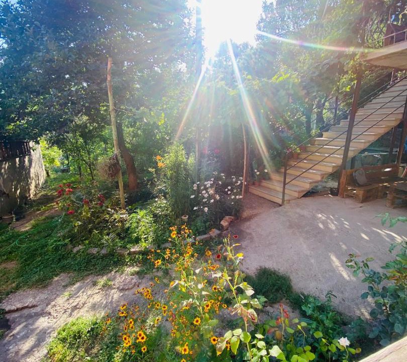 Photo of Others in Sighnaghi