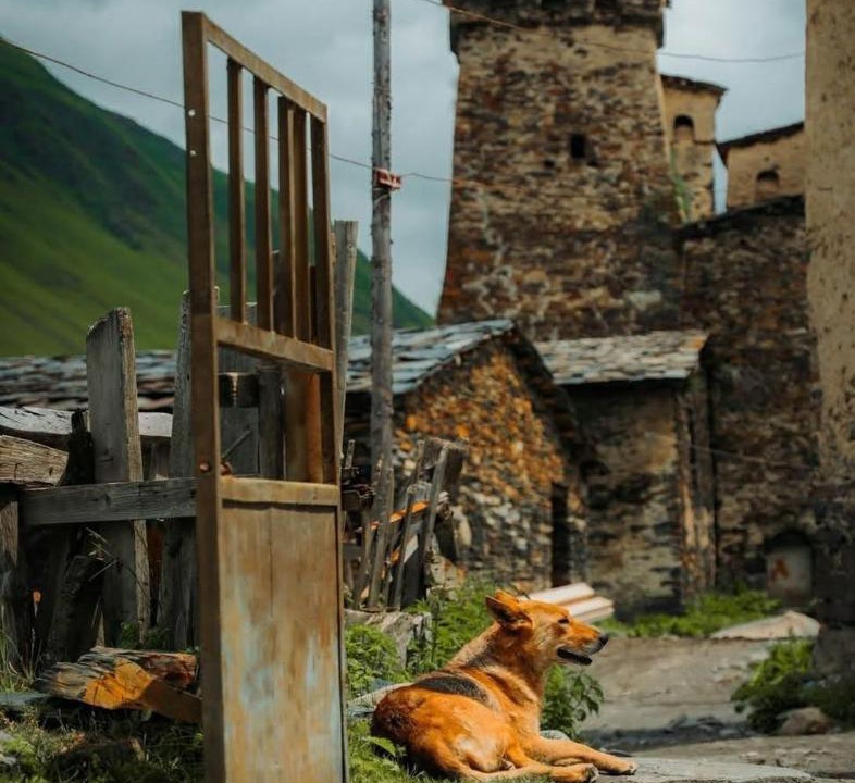Photo of Others in Ushguli