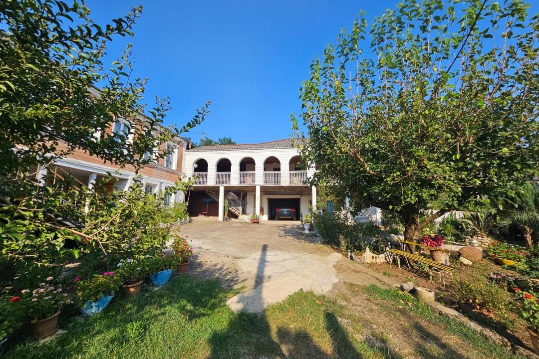 Photo of Others in Imereti