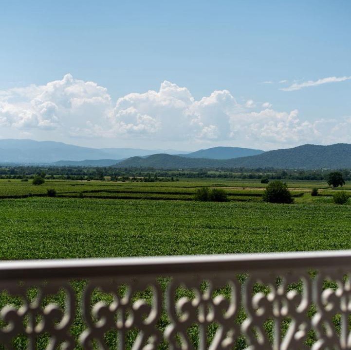 Photo of Others in Telavi