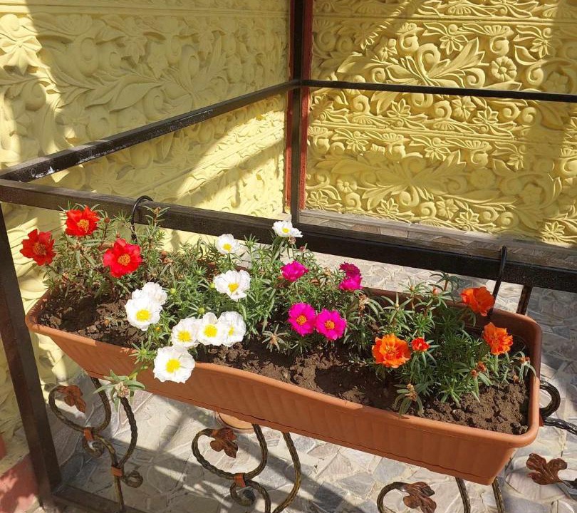 Photo of Others in Imereti