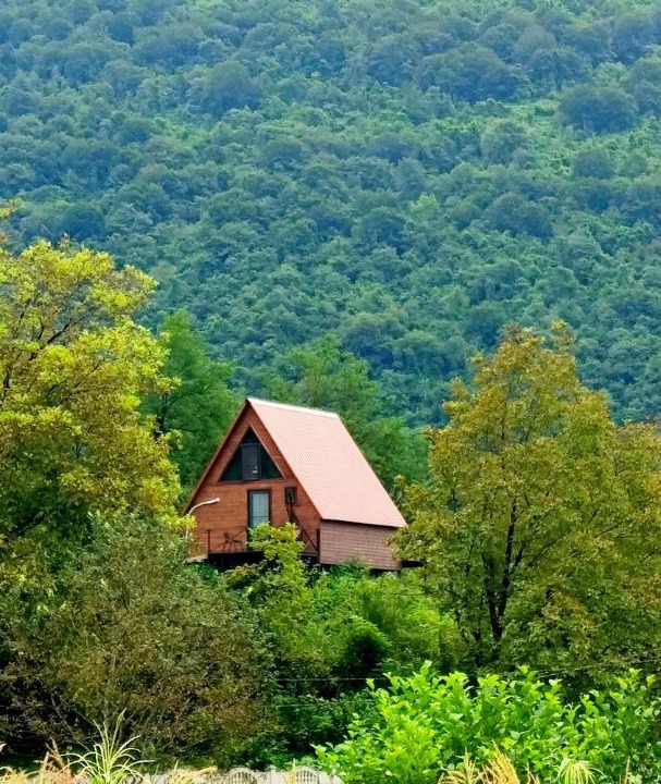 Photo of Others in Salkhino