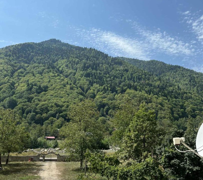 Photo of Others in Mestia