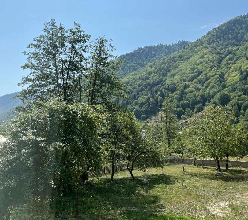Photo of Others in Mestia