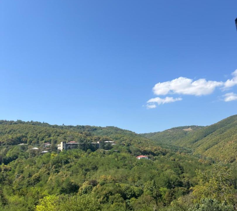 Photo of Others in Sighnaghi