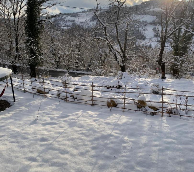 Photo of Others in Imereti