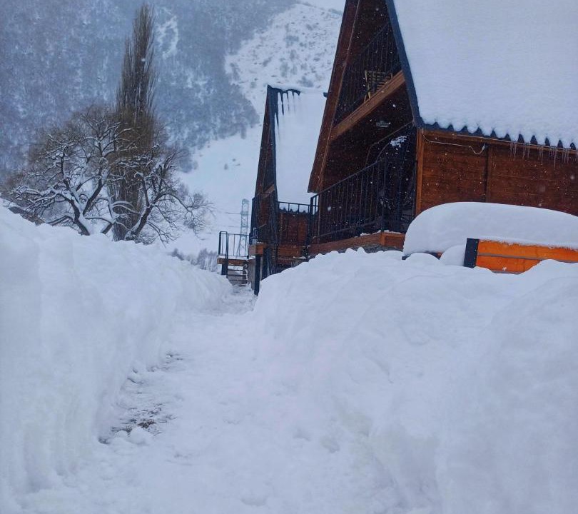 Photo of Others in Kazbegi