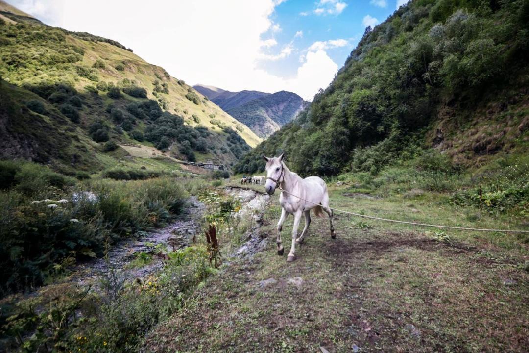 Photo of Others in Shatili
