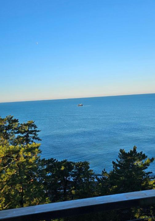 Photo of Others in Kobuleti