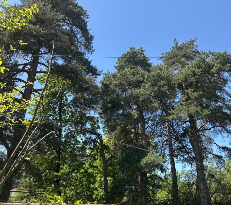 Photo of Outdoor in Imereti