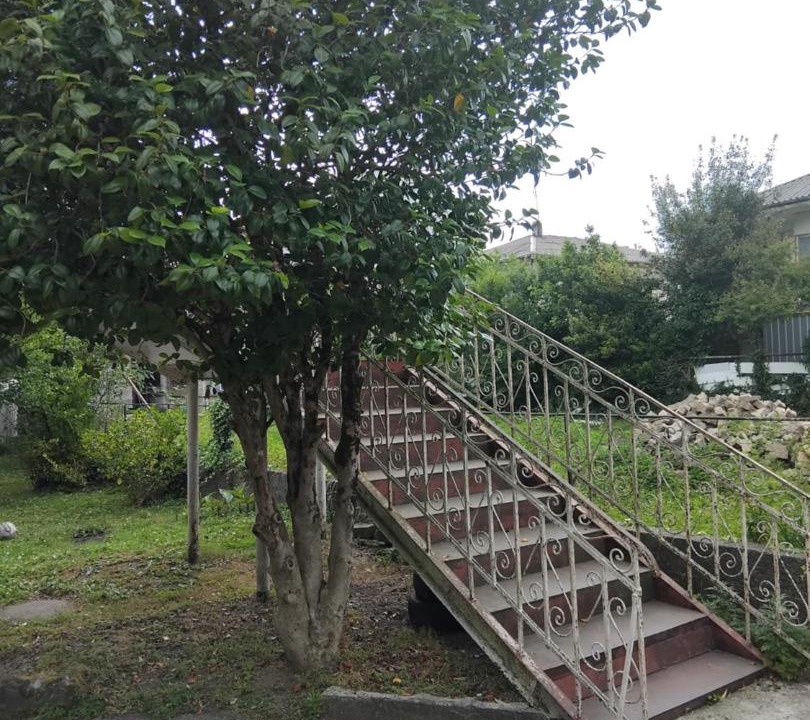 Photo of Others in Imereti