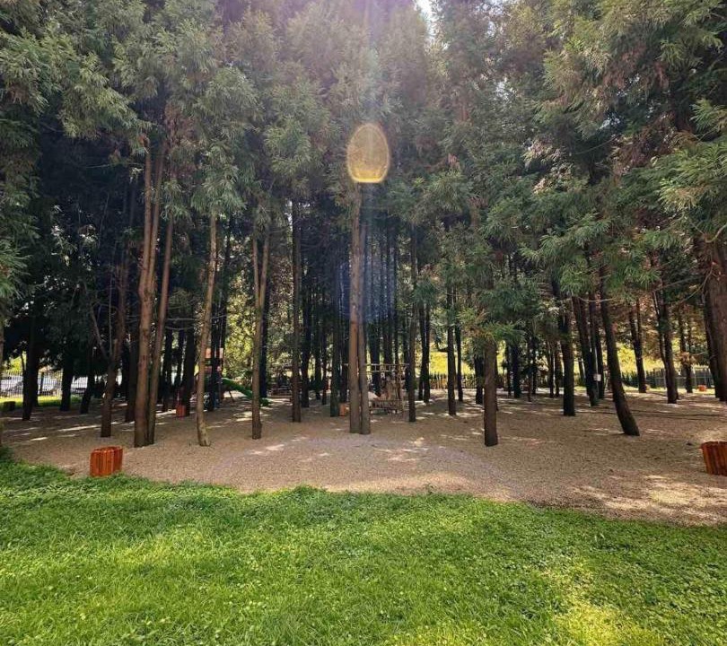Photo of Others in Kobuleti