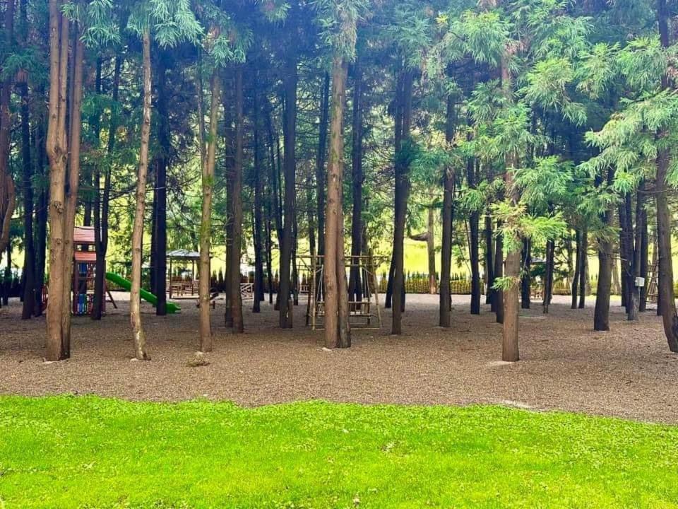 Photo of Others in Kobuleti