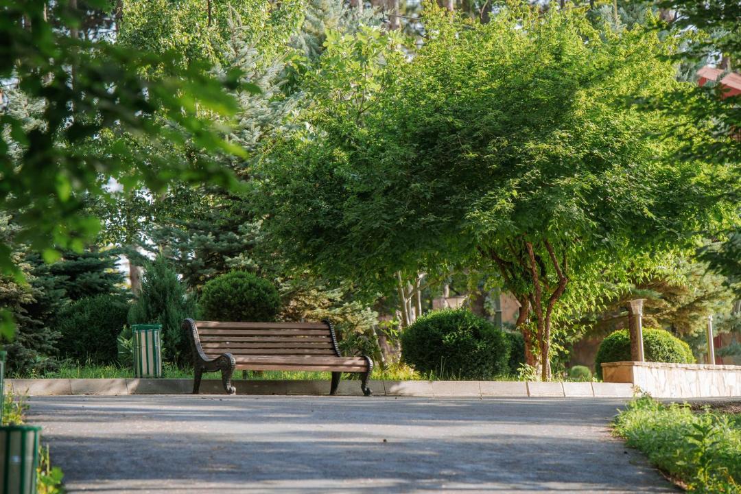Photo of Others in Telavi