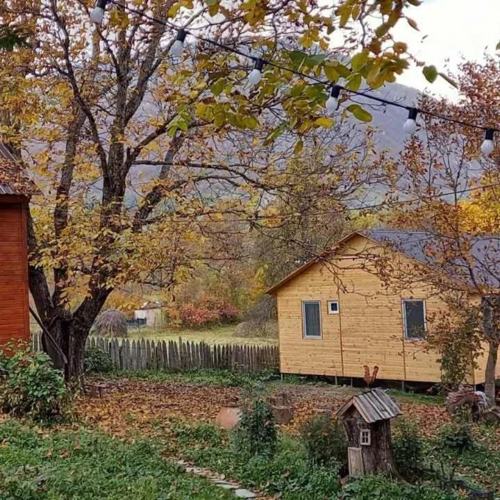 Photo of Others in Racha-Lechkhumi and Lower Svaneti