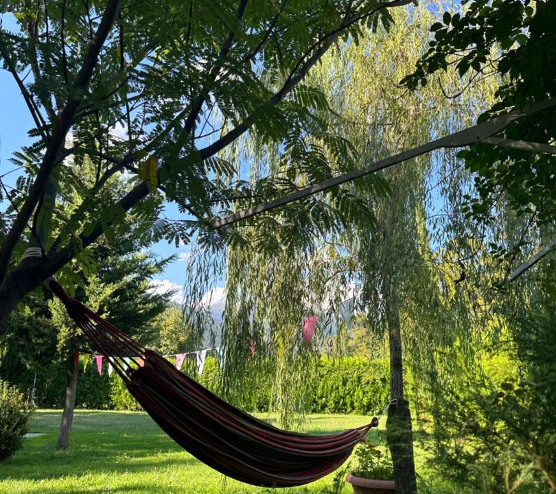 Photo of Outdoor in Kvareli