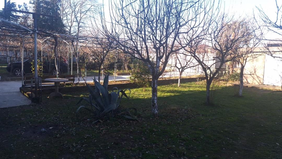 Photo of Others in Tsqaltubo