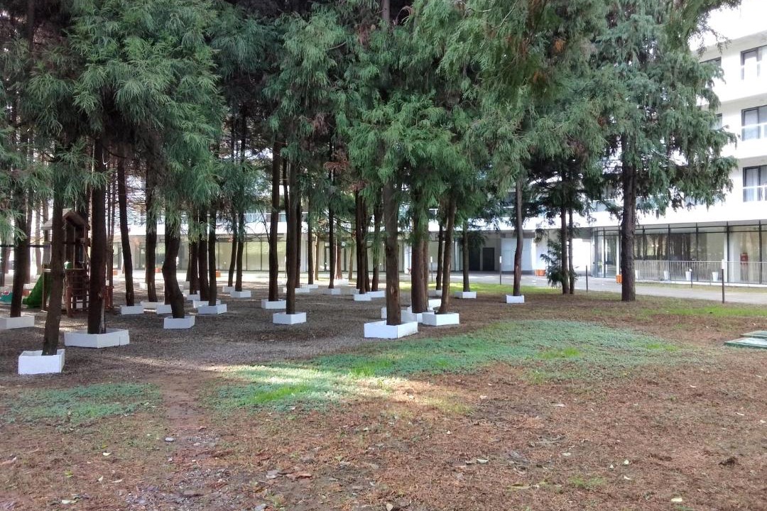 Photo of Others in Kobuleti