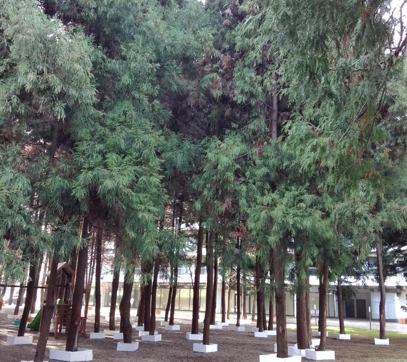 Photo of Others in Kobuleti
