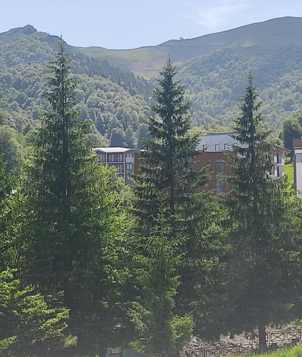Photo of Others in Bakuriani