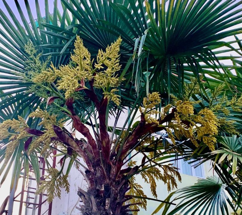 Photo of Others in Ureki