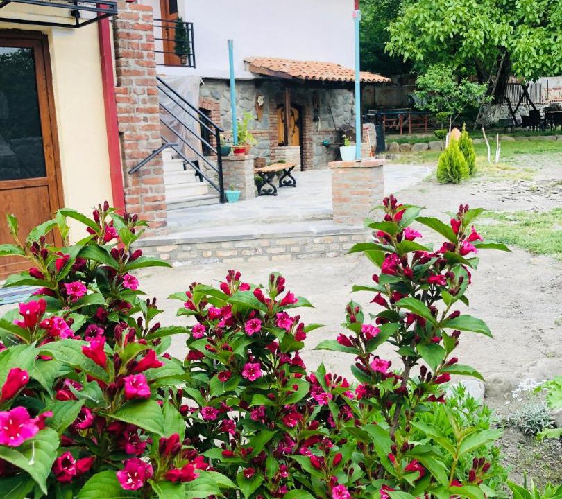 Photo of Others in Lagodekhi
