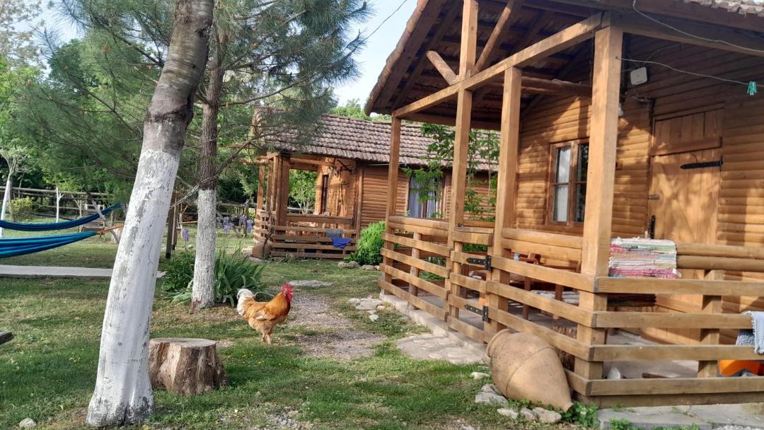 Photo of Others in Salkhino