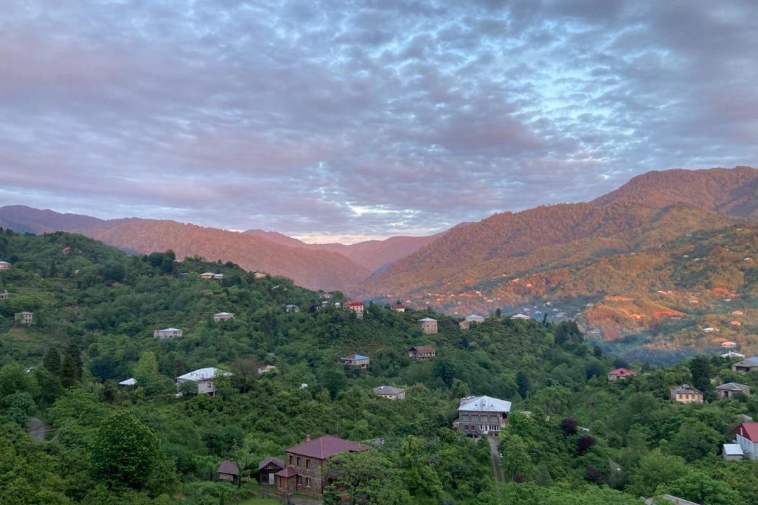 Photo of Others in Gorgadzeebi