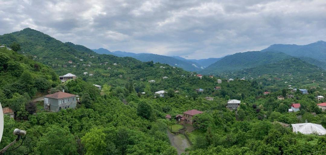 Photo of Others in Gorgadzeebi