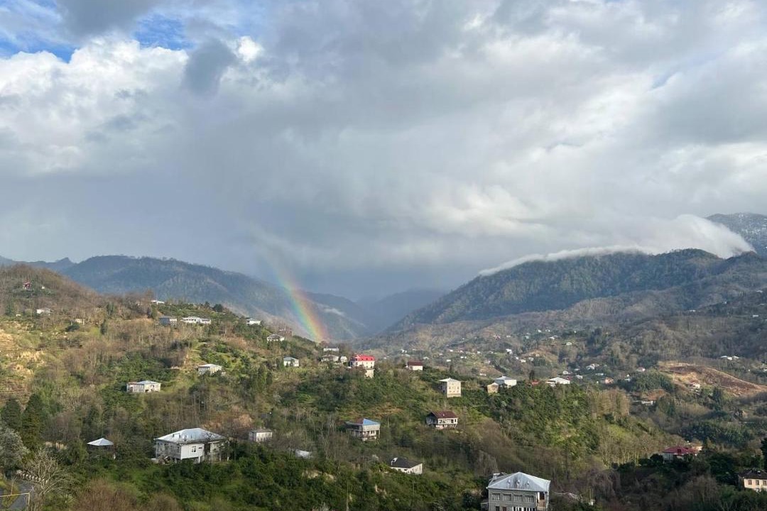 Photo of Others in Gorgadzeebi