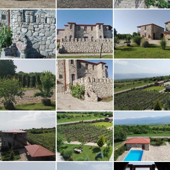Photo of Others in Telavi