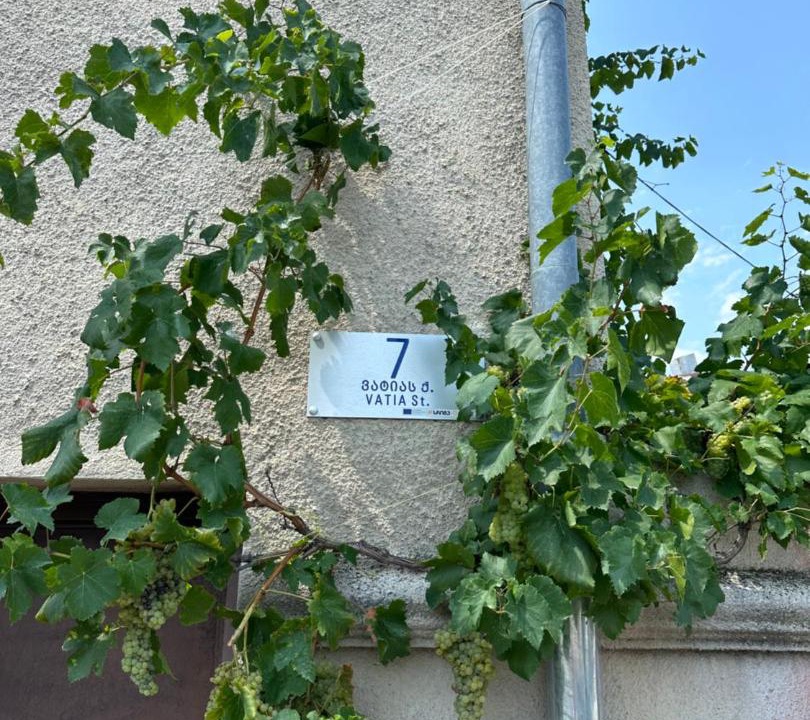 Photo of Others in Telavi
