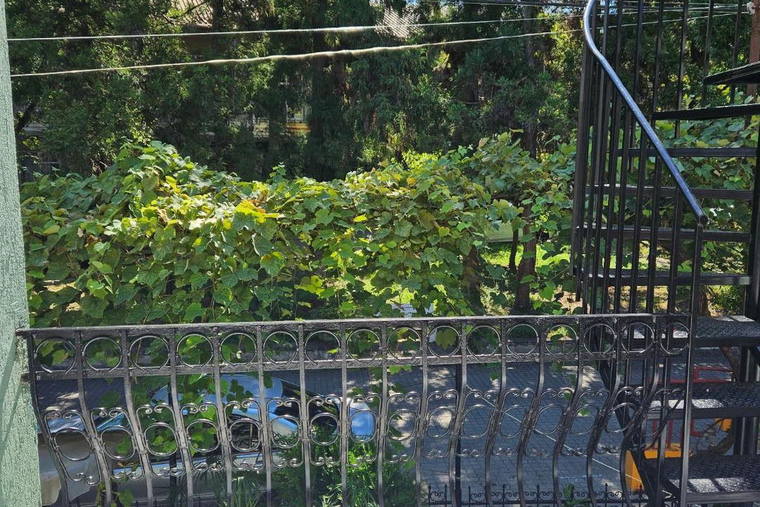 Photo of Others in Kobuleti