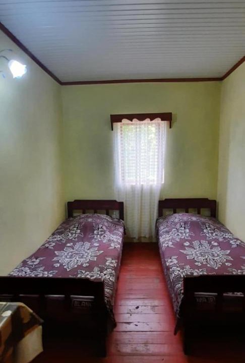 Photo of Others in Magnetiti