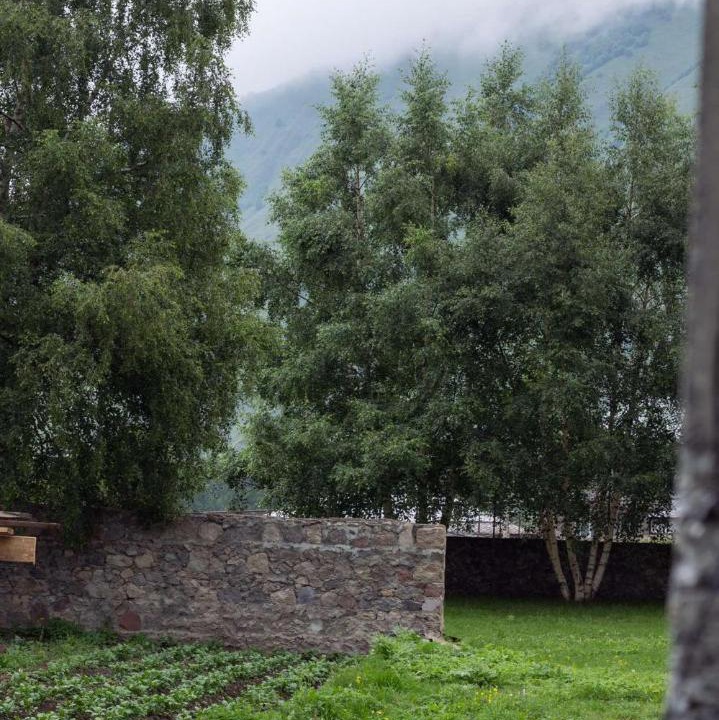 Photo of Others in Kazbegi