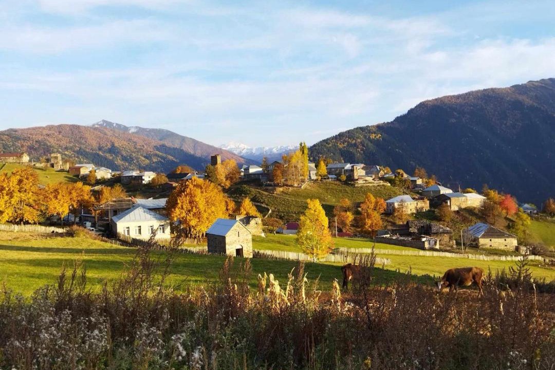 Photo of Others in Tsvirmi