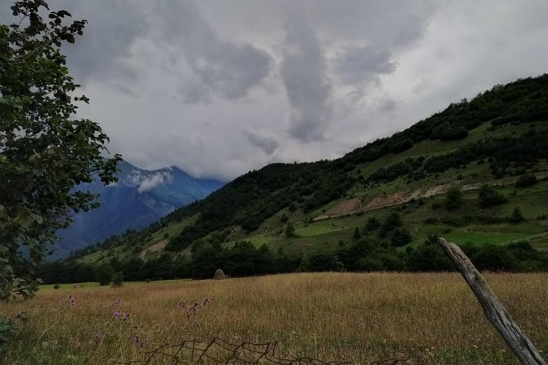 Photo of Others in Mestia