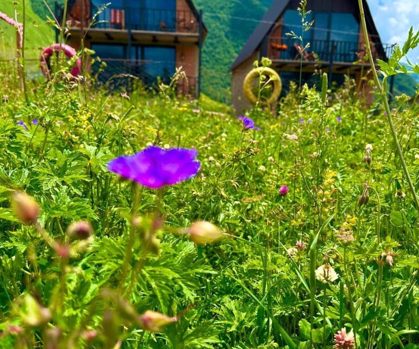 Photo of Others in Stepantsminda
